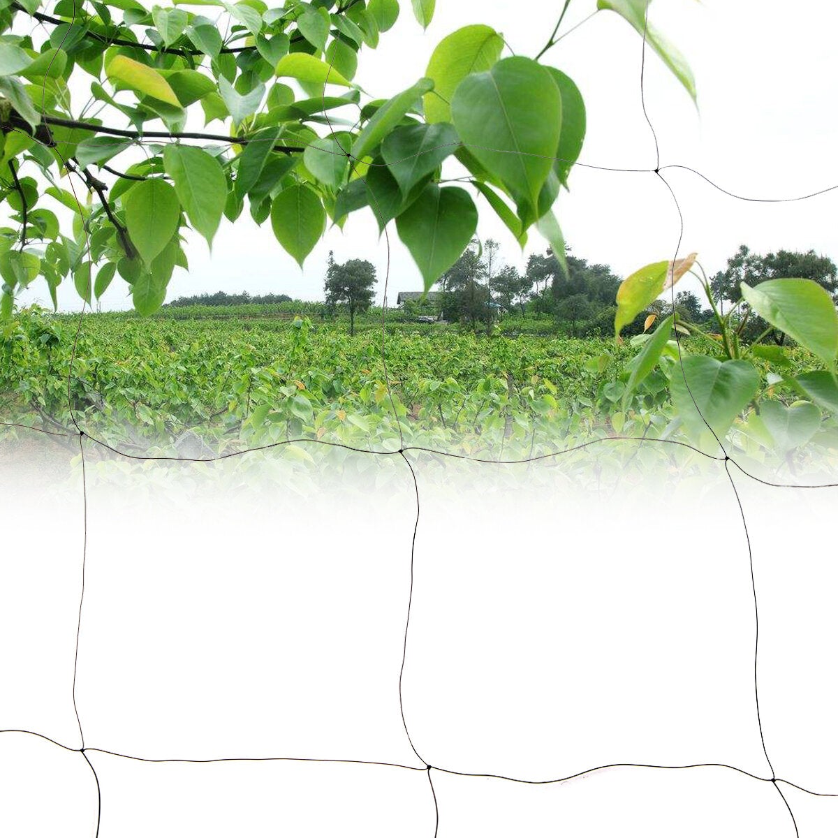 Anti Bird Netting Poultry Soccer Garden Fruit Protection Net