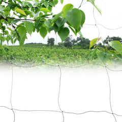 Anti Bird Netting Poultry Soccer Garden Fruit Protection Net