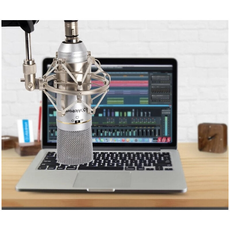 Microphone Audio Condenser Mic Professional Studio Shock Mount for Live Broadcast Singing