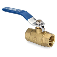 1/2" 3/4" 1" Female Brass Two Piece Full Port Thread Ball Valves with Vinyl Handle