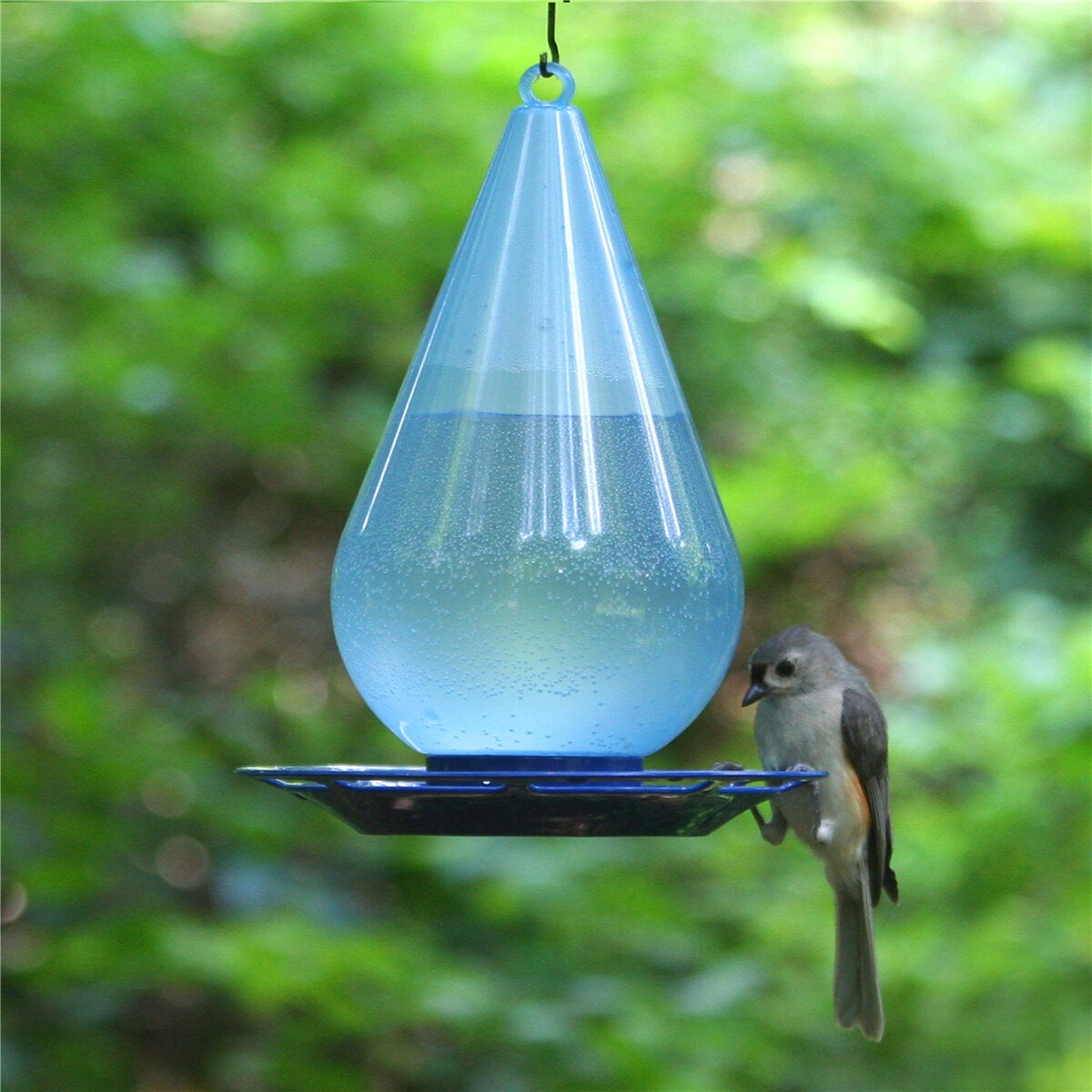 Bird Waterer Bird Feeder Hanging Wild Bird Feeder Squirrel Proof Seed Food for Yard Garden Outdoor Decoration