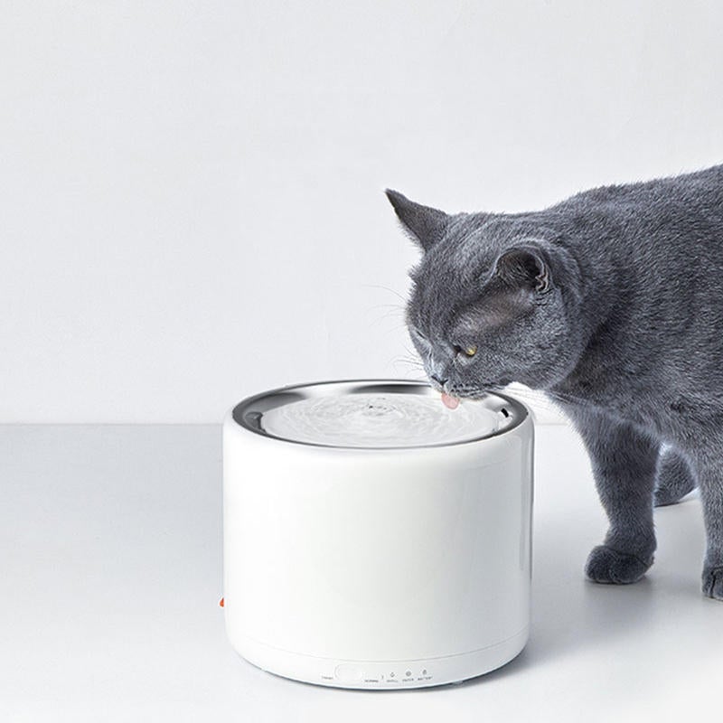 1.35L Electric Pet Cat Dog Drinking Water Dispenser Water Fountain Autoxic Feeder Pet Smart Feeder