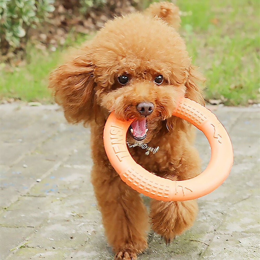 Pet Flying Discs Dog Training Ring Puller Resistant Bite Floating Toy for Puppy Outdoor Interactive Game Playing