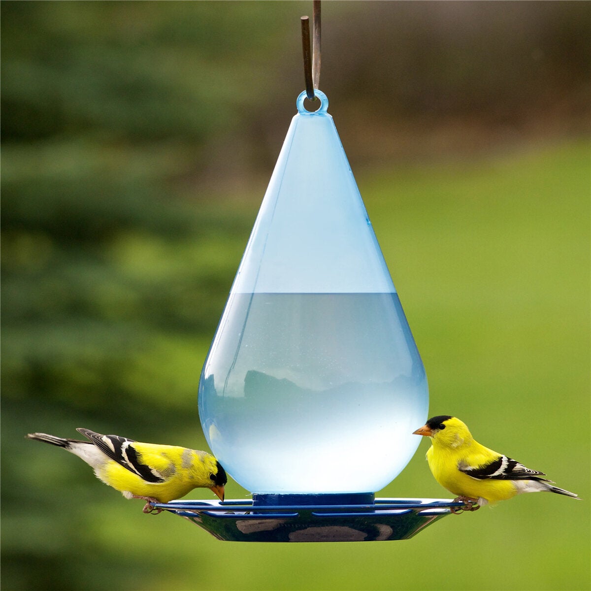 Bird Waterer Bird Feeder Hanging Wild Bird Feeder Squirrel Proof Seed Food for Yard Garden Outdoor Decoration