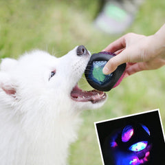 Luminous Dog Toy Durable Bouncy Balls Rubber Bouncy Dog Chewing Ball Dog Training Pet Toys