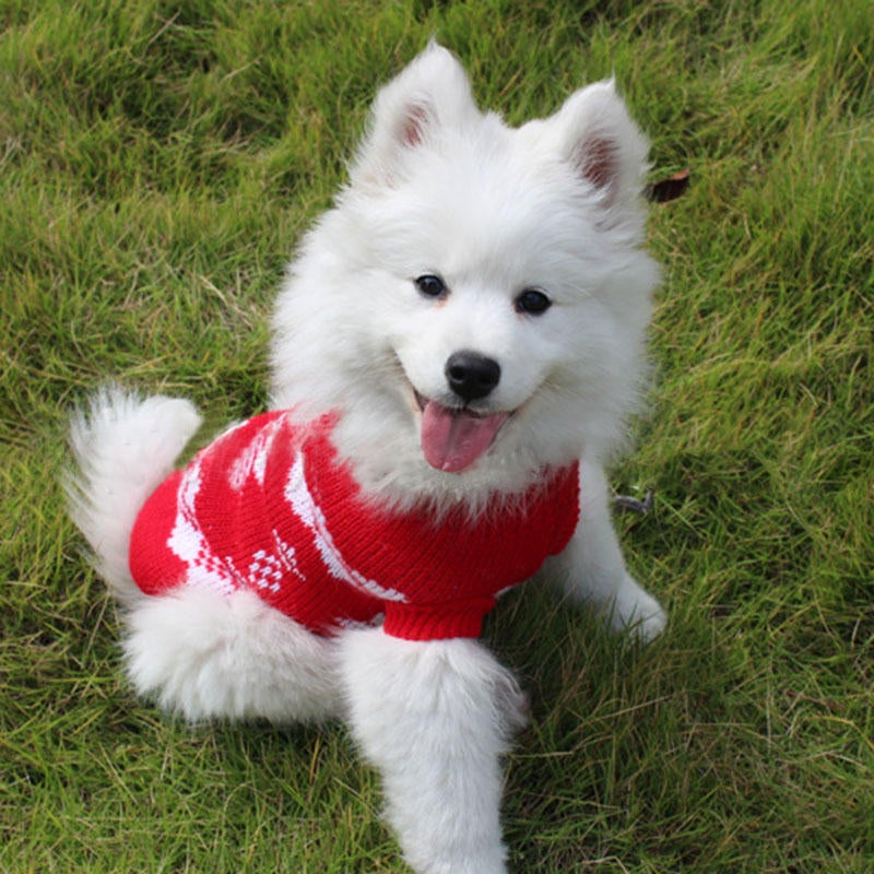 Christmas Snowflake Pet Dog Cat Autumn Winter Sweaters Warm Pullover Hoodie Costume