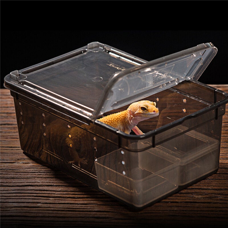 Transparent Plastic Box Insect Reptile Transport Breeding Live Food Feeding Box Parts Storage Box