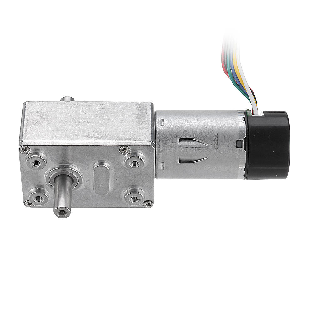 DC 12V Double Shaft Brushless Motor Reduction Gear Turbine Worm Self-locking Motor