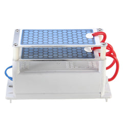 Heavy Duty AC110V 10g 10000Mg/H Ozone Generator With Blue Plates Treatment