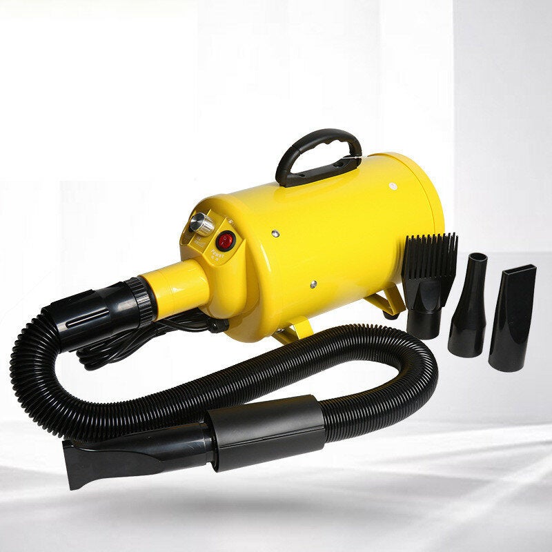 2000W Pet Hair Dryer 4 Kind of Heads Thickered Filter Element&Air Outlet Pipe Mute Operation for Cat Dog