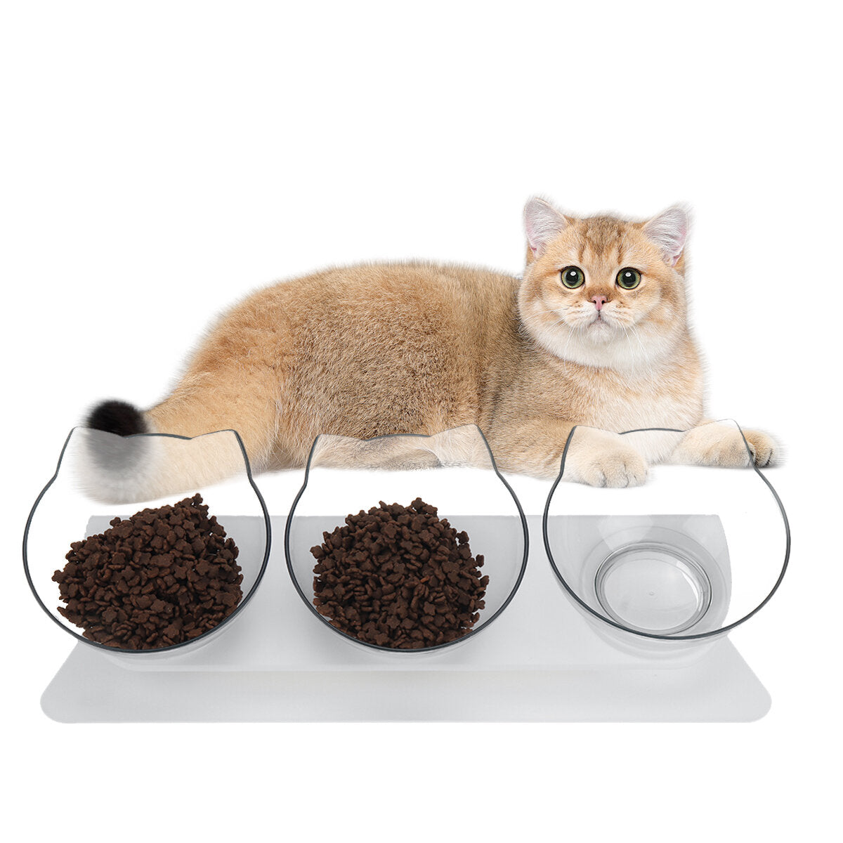 Cat Elevated Bowl with Raised Stand & Three Feeders, 15 Degree Tilted Pet Bowl Stress-Free Suit for Cats Small Dogs, Food & Water Bowl, Healthy & Hygienic Feeder Bowls Pet Bowl