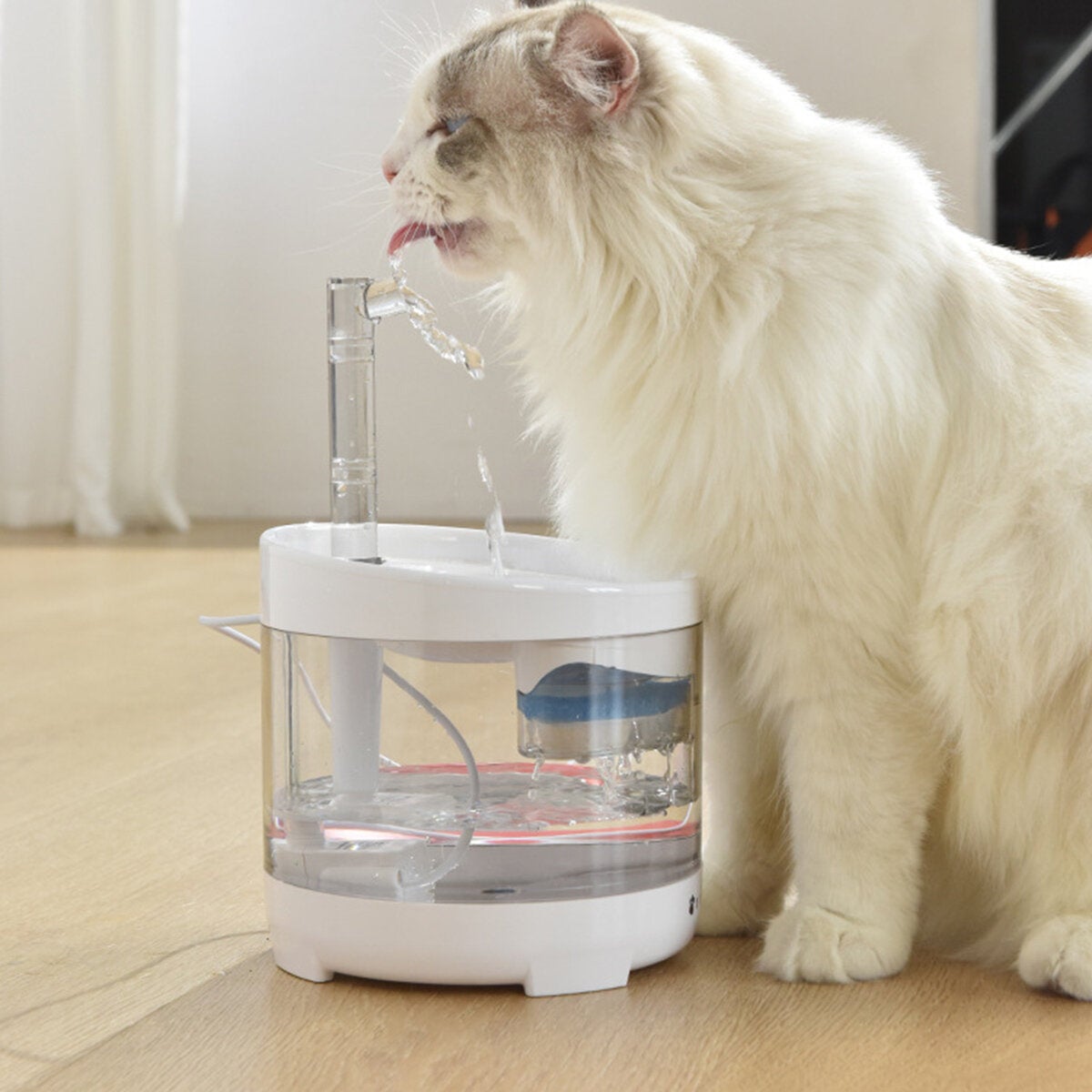 Cat Water Fountain Dog Dispenser 54oz 1.6L Autoxic Pet Drinking Transparent Upgraded Filter Adjustable Silent Pump Adapter