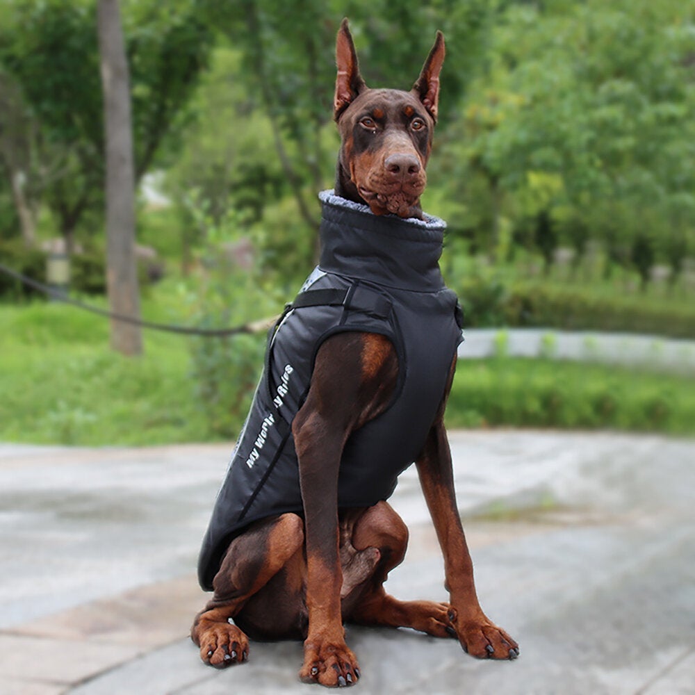 Windproof Warm Dog Clothes Reflective Design Close-fitting Upgrade PVC Material Multi Colors Size Is Optional