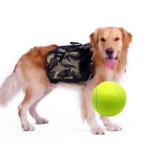 Tennis Ball Dog Toy Chewing Sport Outdoor Game Throw Run Fetch 24CM