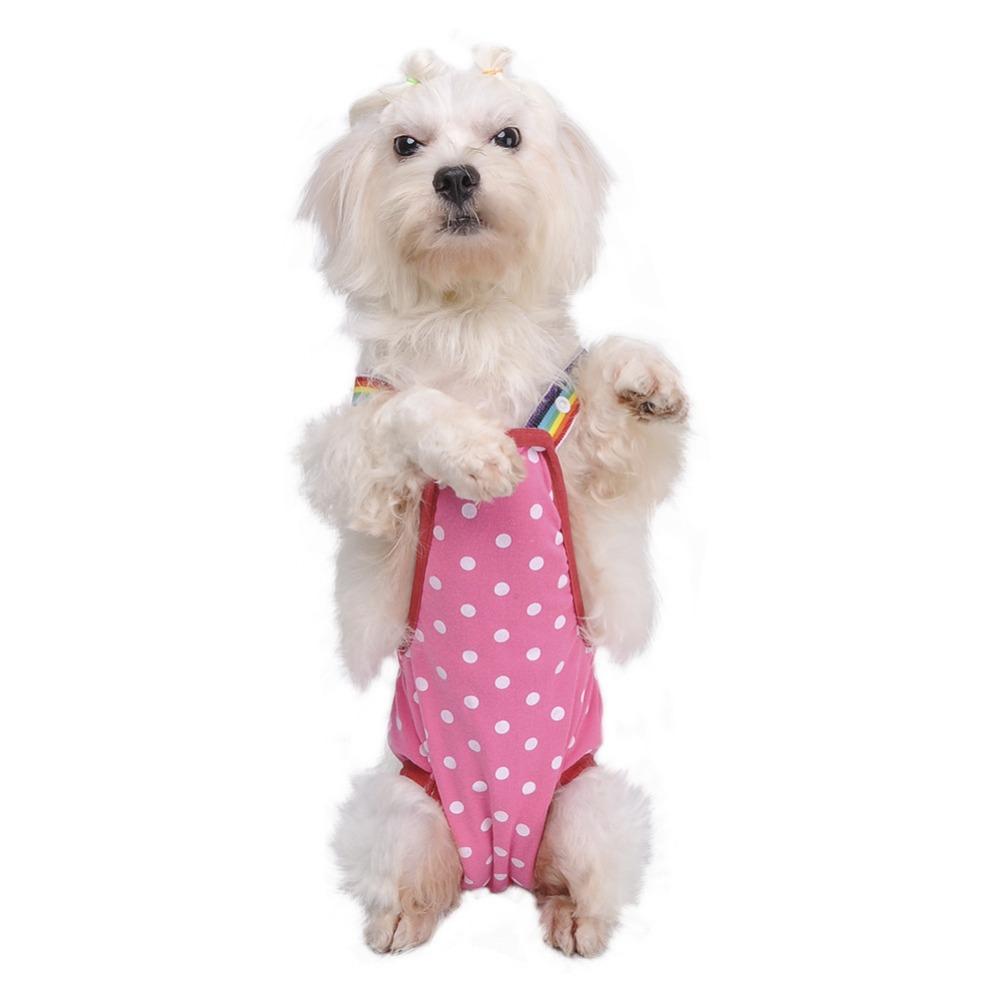 Pet Dog Cat Physiological Shorts Doggy Kitten Underwear Pants Diapers Pet Pants Physiological Pants