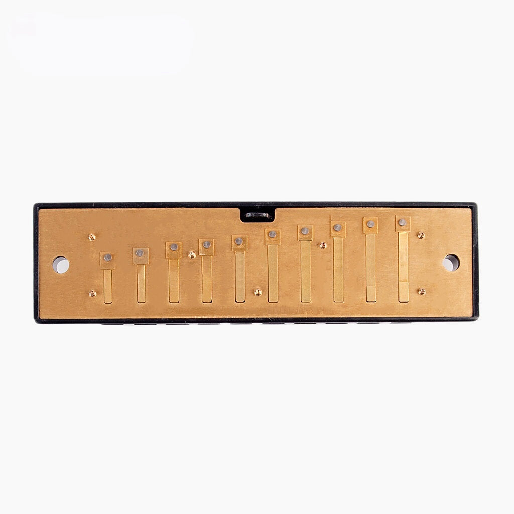 10 Holes Harmonica Reed Replacement Reed Plates Key Of C Brass Reed Unfinished Harmonica Comb Woodwind Instrument Parts