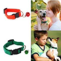 Anti Flea & Collar for Dog and Cat Universal Pet Protection Neck Strap