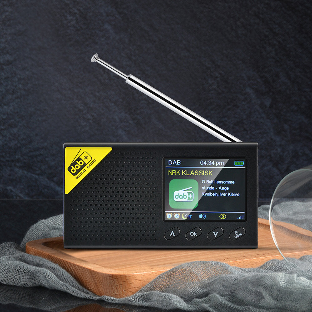Portable 2.4 inch Digital Display Radio DAB/DAB+ FM Receiver 5.0 Bluetooth Speaker Rechargeable