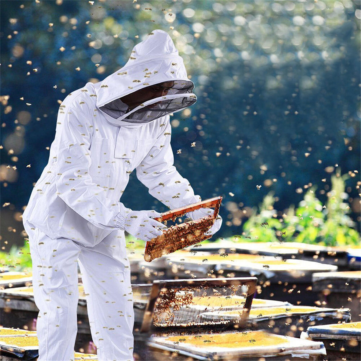 Professional Cotton Full Body Beekeeping Bee Keeping Clothing Tools Set w/ Veil Hood L/XL/XXL