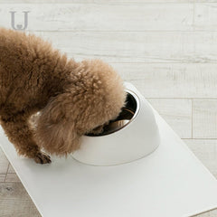 Pet Tilt Stainless Steel Bowl Dog Food and Water Feeder With Base