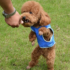 Summer Cooling Jacket Coat Vest T-shirt Clothes Clothing For Dog Cat Puppy Pet Vest