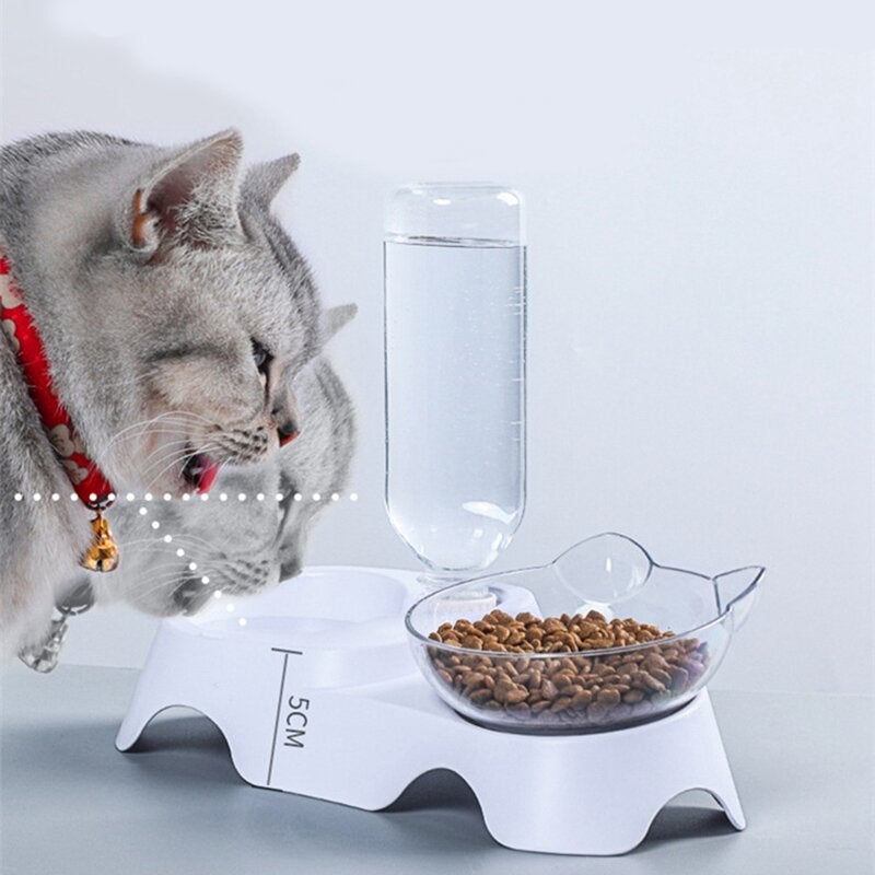 15 Degree Raised Pet Bowls Cats Food Water Feeder Plastic Tilted Elevated Bowl for Pets Care