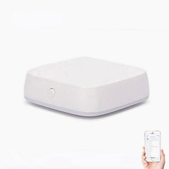 Smart Wireless Temperature and Humidity Sensor Works with Alexa Google Home
