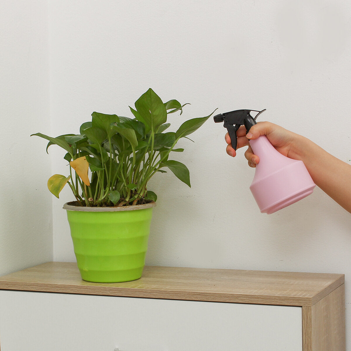 Watering Spray Bottle Flowers Shower Watering Can Small Gardening Can