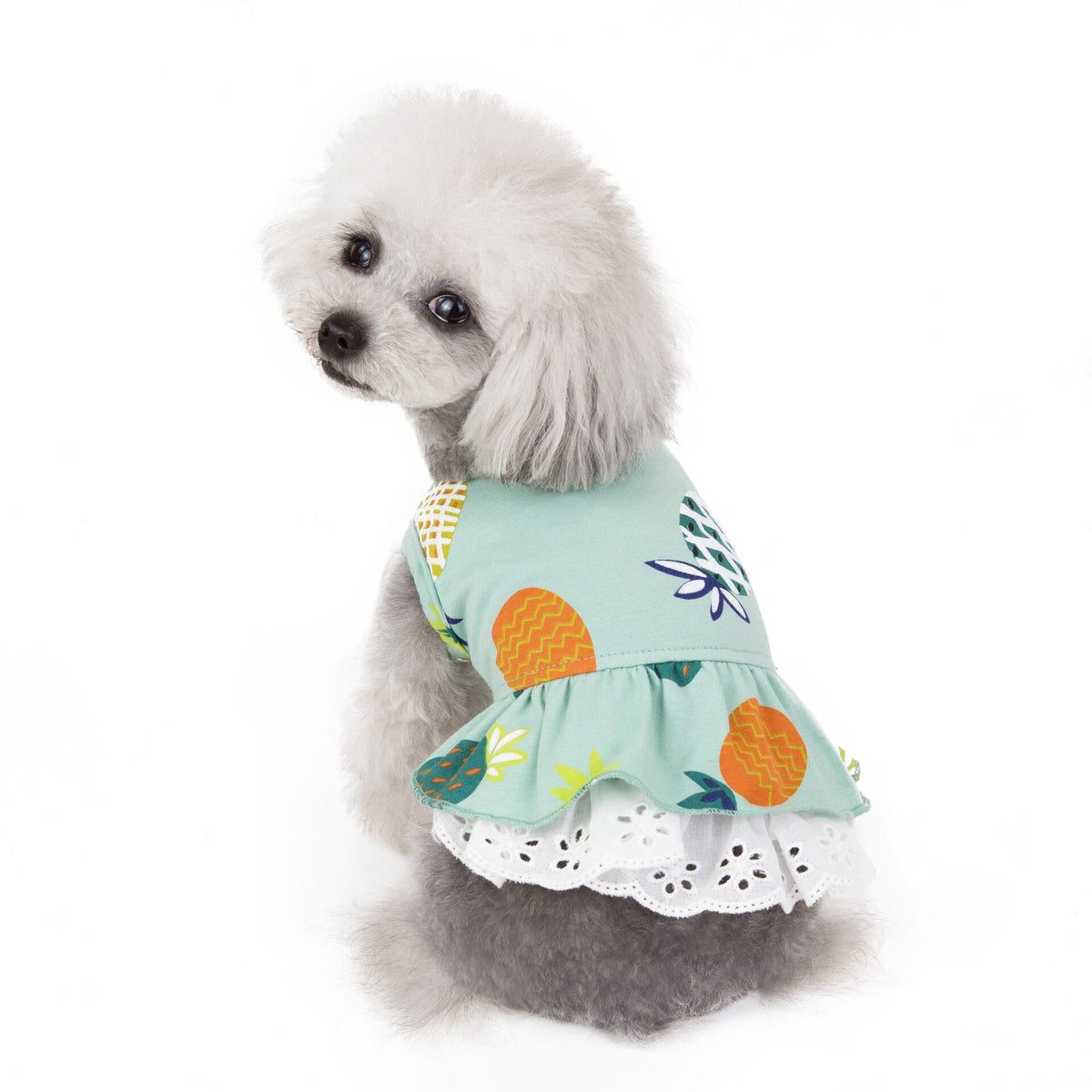 Pineapple Pattern Pet Skirt Spring And Summer Cat And Dog Clothes