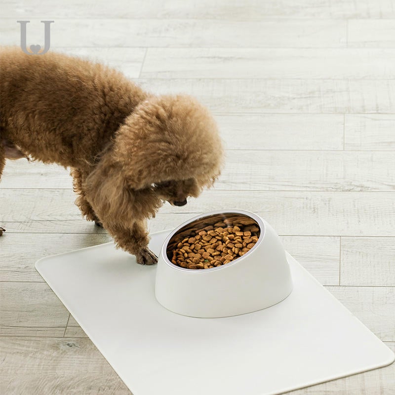 Pet Tilt Stainless Steel Bowl Dog Food and Water Feeder With Base