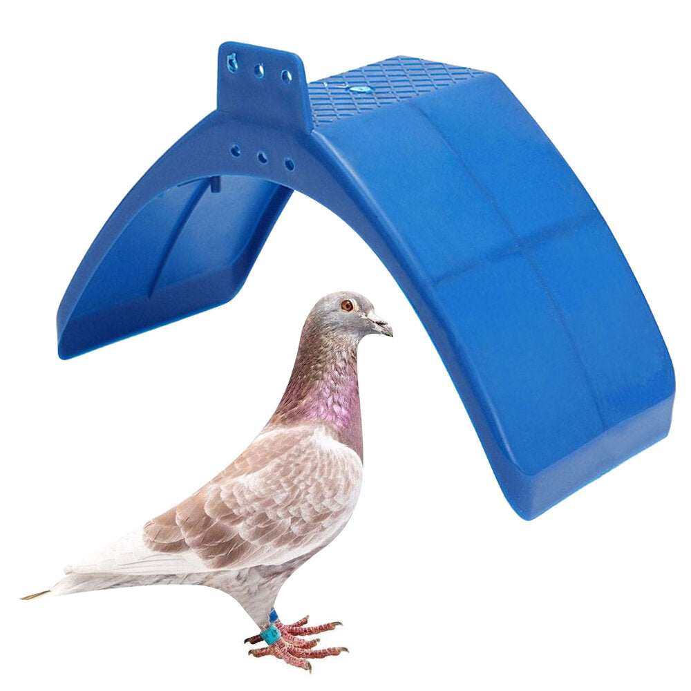 Pigeon Dove Rest Stand Frame Grill Dwelling Perches Roost Bird Supplies Set