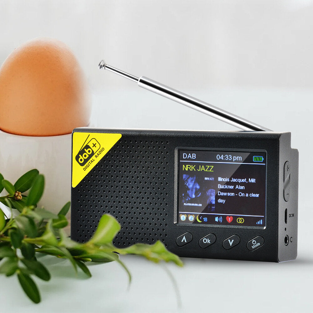 Portable 2.4 inch Digital Display Radio DAB/DAB+ FM Receiver 5.0 Bluetooth Speaker Rechargeable
