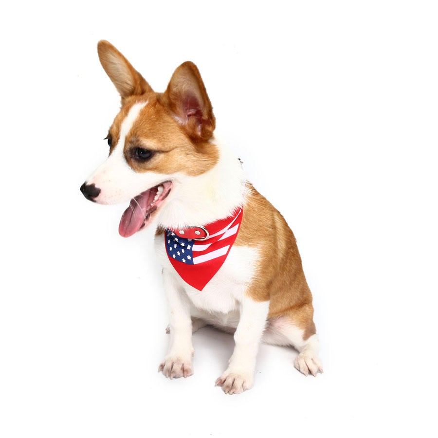 Pet Dog American Flag Collar Pet PU Canvas Decorative Cool Collar