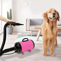 Pet Blowing Machine 2200W Low Noise Wam Wind Household Cat Dog Fast Hair Dryer for Pet Supplies Grooming