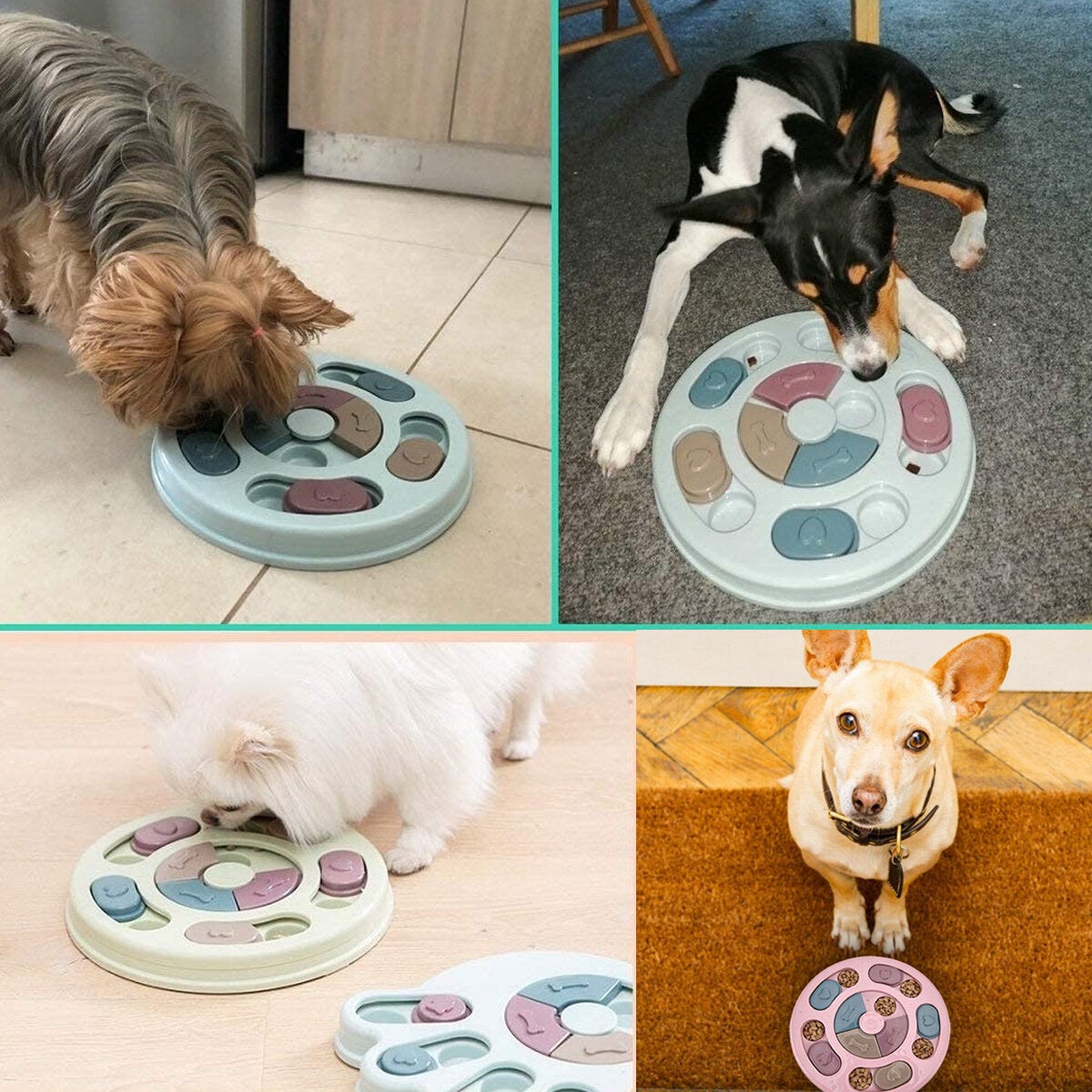 Pet Training Games Anti-Slip Puppy Treat Dispenser Puppy Treat Dispenser Pet Feeding Toy Pet Game Plate