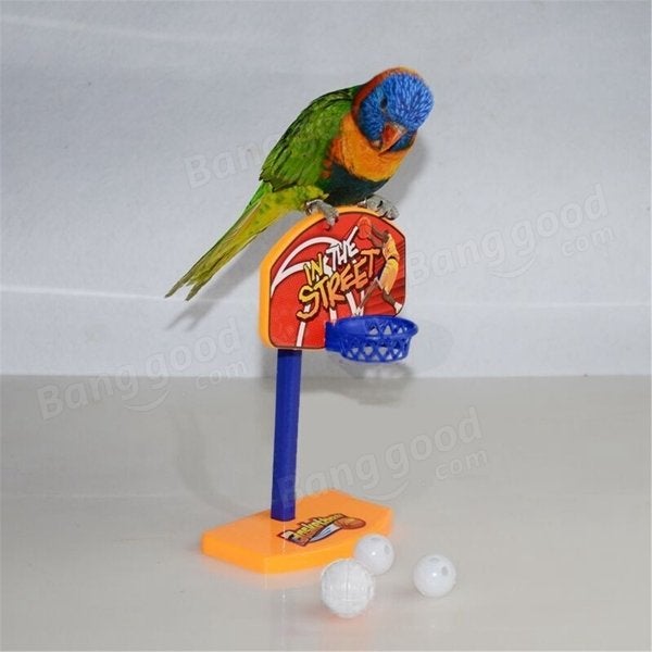 3Pcs Pet Birds Chew Parakeet Bell Balls Parrot Toys Birdie Basketball Hoop Prop