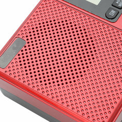 Portable FM AM SW 21 Bands DSP Digital Radio USB TF Card MP3 Music Player Speaker With Telescopic Antenna