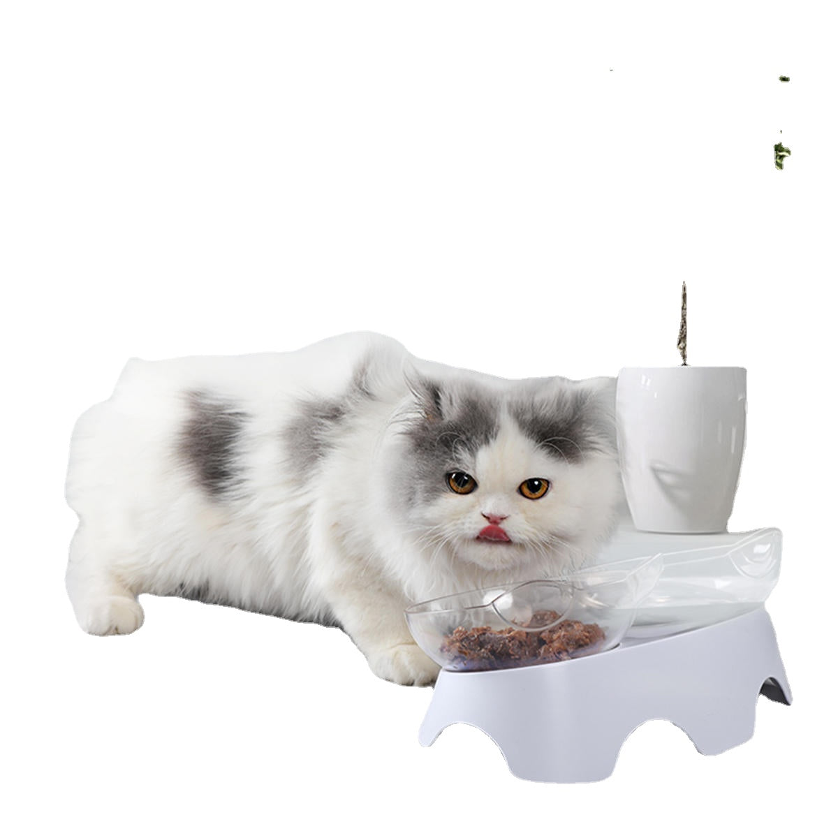 3 Types Oblique Cat Food Bowls Protecting Cervical Vertebra With Water Store Bottle Multi-function Pet Bowl 1/2 Bowls Set