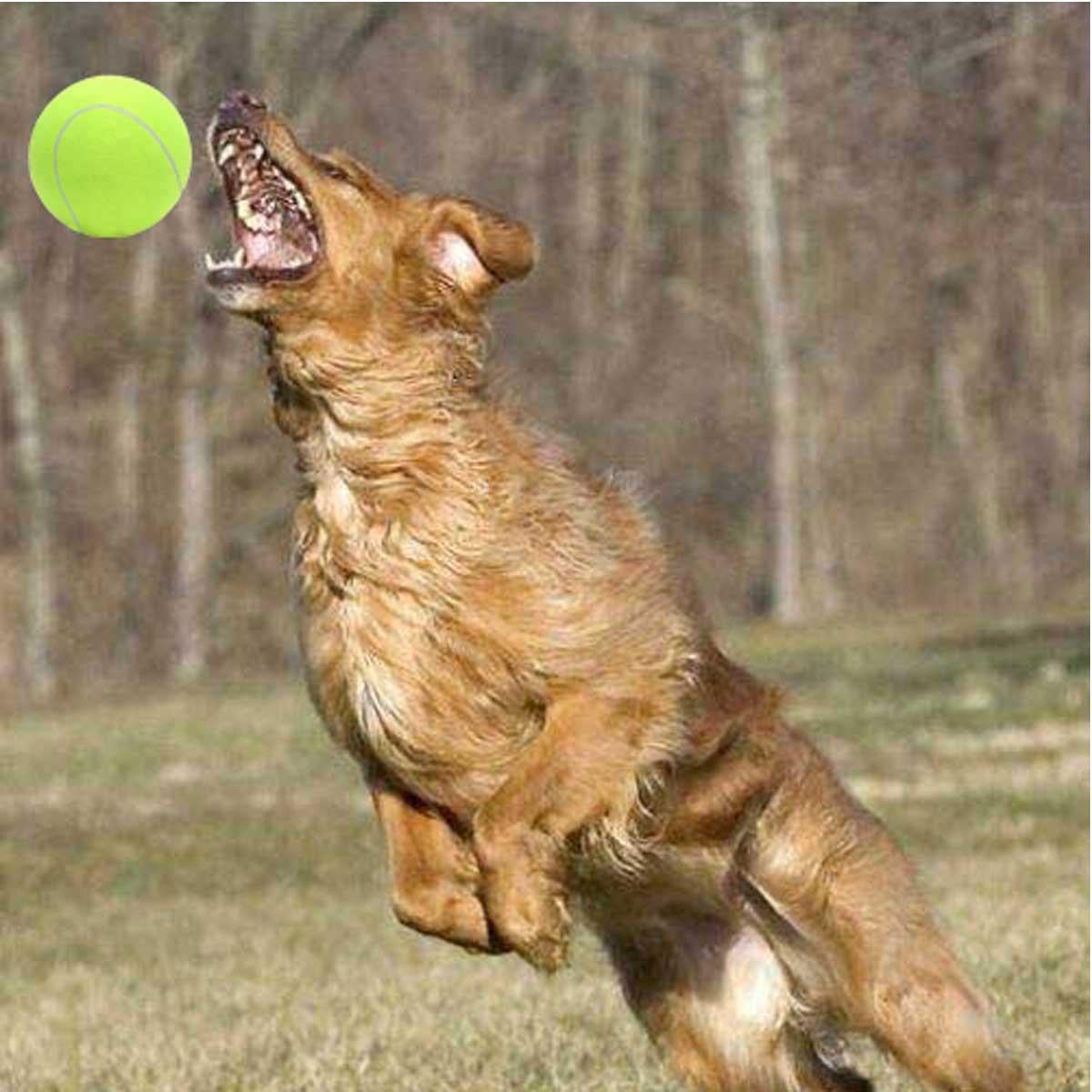 24cm Big Giant Pet Dog Puppy Tennis Ball Thrower Chucker Launcher Pet Toys