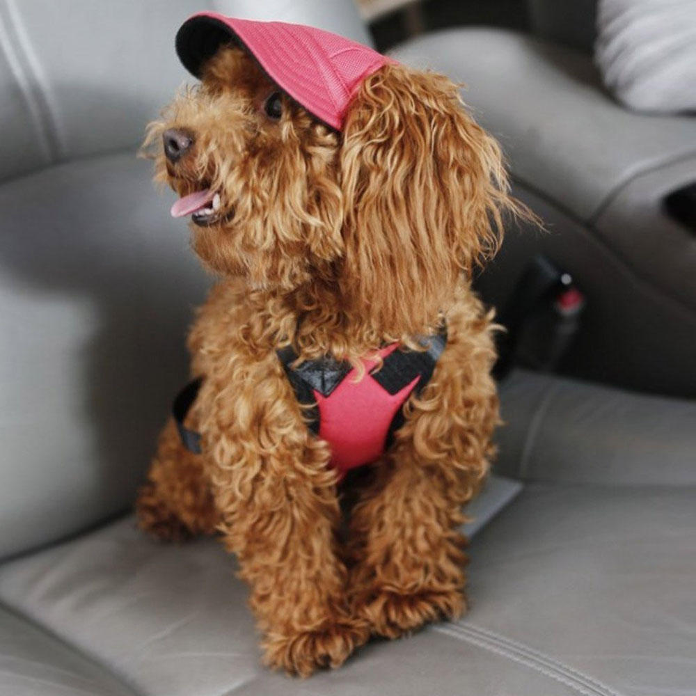 Summer Pet Dog Cute Print Cap Baseball Hat Small Dog Outdoor Hat Baseball Cap Pet Grooming Dog Hat Pets Accessories For Dogs Cats