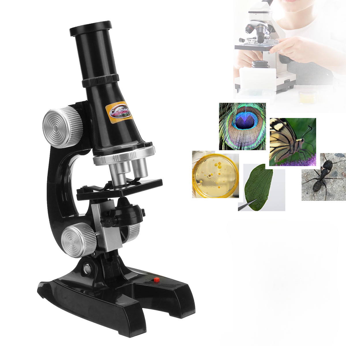 Children's Junior Microscope Science Lab Set with Light Educational Toy