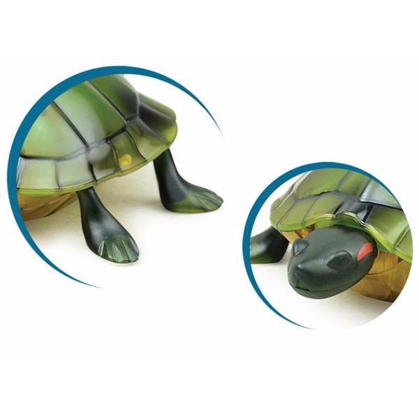 Infrared Electric RC Tortoise Simulation Remote Control Turtle Kid Toy