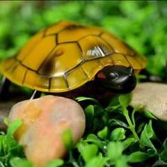 Infrared Electric RC Tortoise Simulation Remote Control Turtle Kid Toy