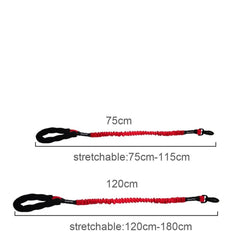 Dog Pet Bungee Leash