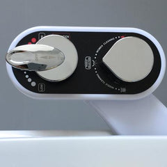 Self Cleaning Bidet Toilet Seat with Water Temperature, Pressure Control