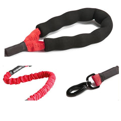 Dog Pet Bungee Leash