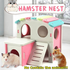 Hamster Golden Bear Bedroom Color Wooden House Big House