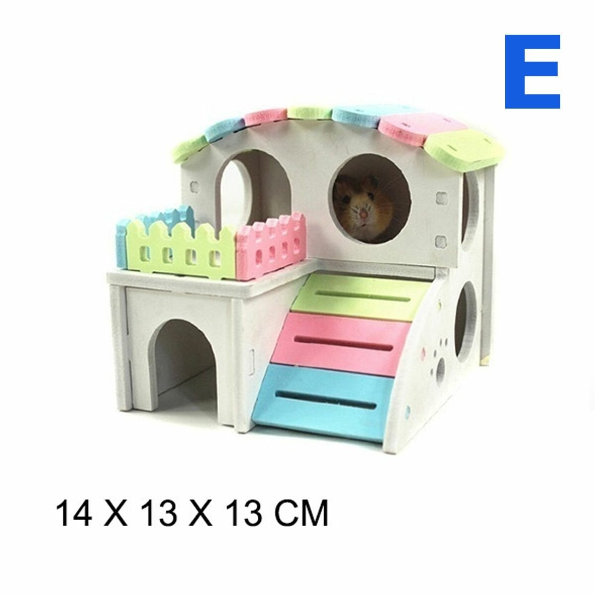 Hamster Golden Bear Bedroom Color Wooden House Big House