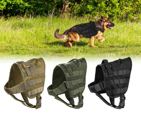 Outdoor Molle Dog Vest Adjustable Water Resistant Nylon with Safety Lock and Detachable Strap