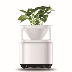 Air Purifier Mini Household Remove Formaldehyde Secondhand Smoke Anion Office Desktop Air Purifier